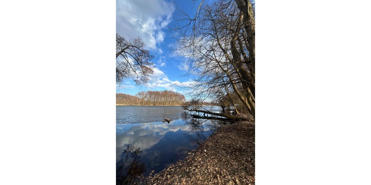 Einfamilienhaus Petershagen/Eggersdorf Eggersdorf - 4 Zimmer, 130 m&sup2;, 1.500&euro; | Angebot:25364066