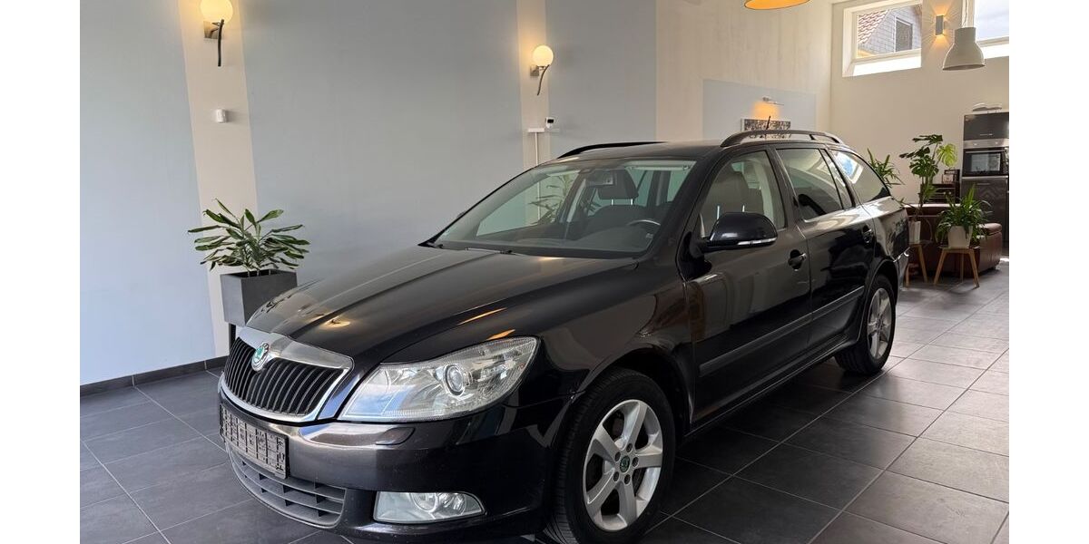 Skoda Octavia 293.267 km 3.890 &euro; Gera 07552