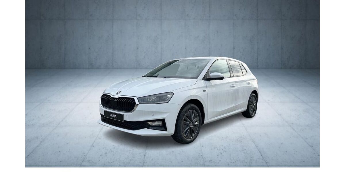 Skoda Fabia 1.200 km 19.790 &euro; Soltau 29614