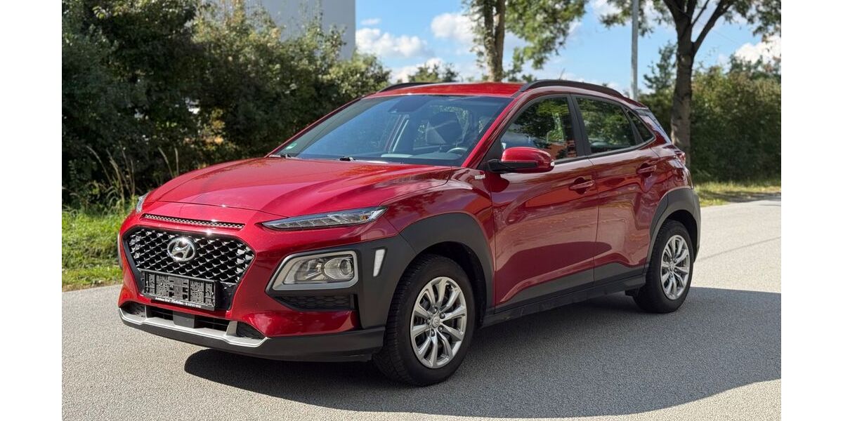 Hyundai KONA 170.000 km 8.750 &euro; Landau 94405