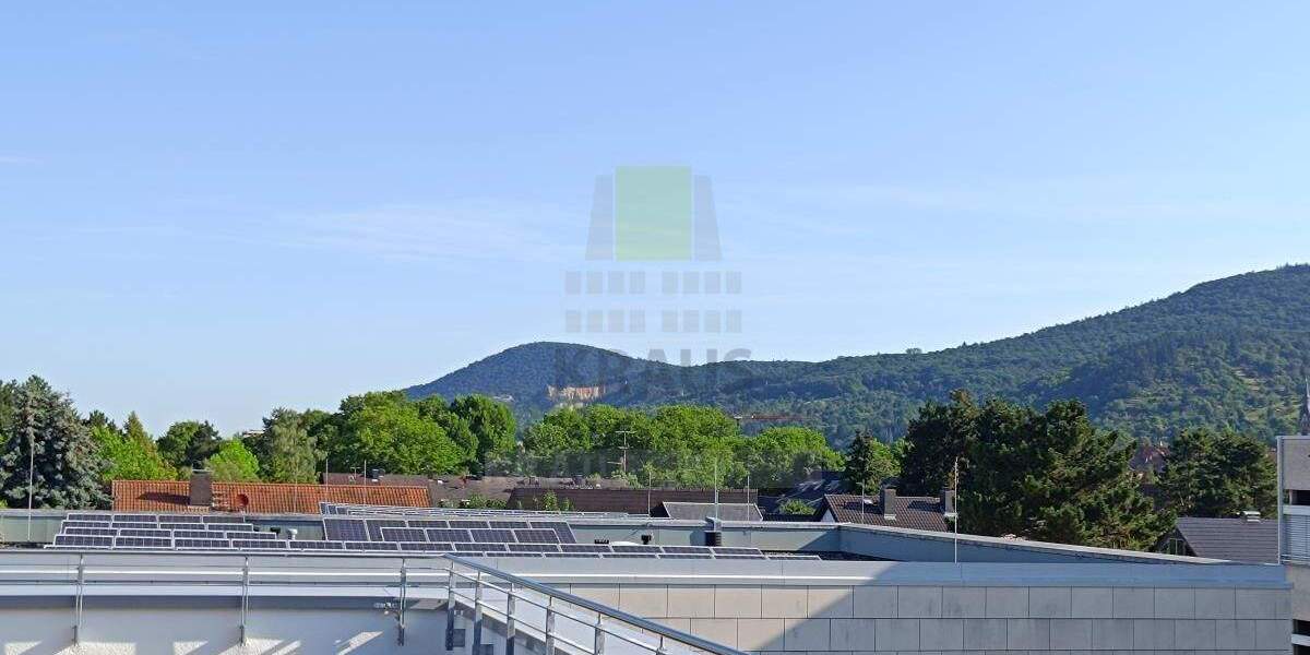 Etagenwohnung Heidelberg Handschuhsheim - 3 Zimmer, 163 m&sup2;, 3.435&euro; | Angebot:25676442