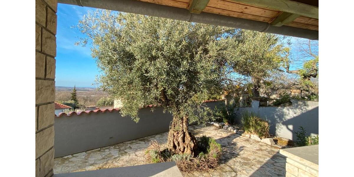 Ferienimmobilie Frankfurt am Main Oberrad - 240&euro; | Angebot:26481356