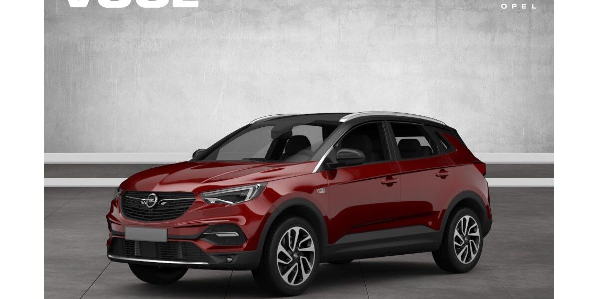 Opel Grandland (X) 102.158 km 19.770 € Altötting 84503