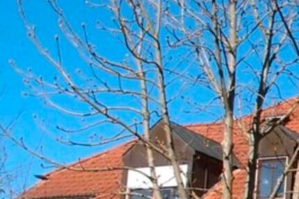 Wohnung Heilsbronn - 4 Zimmer, 116 m&sup2;, 319.000&euro; | Angebot:26151777