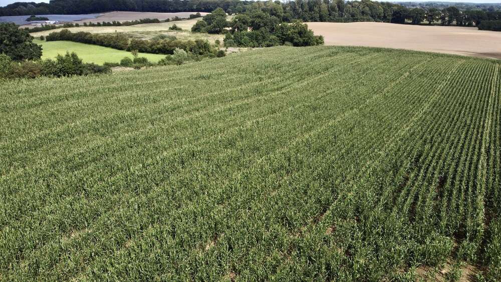 Grundstück in Felde 110.000 € 28300 m² zimmer