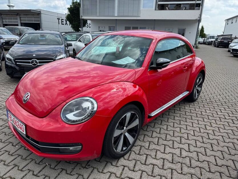 Beetle