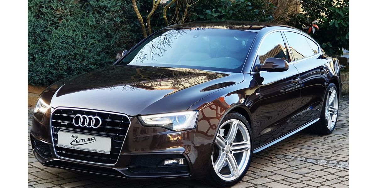Audi A5 195.000 km 14.480 &euro; Ebensfeld-Döringstadt 96250
