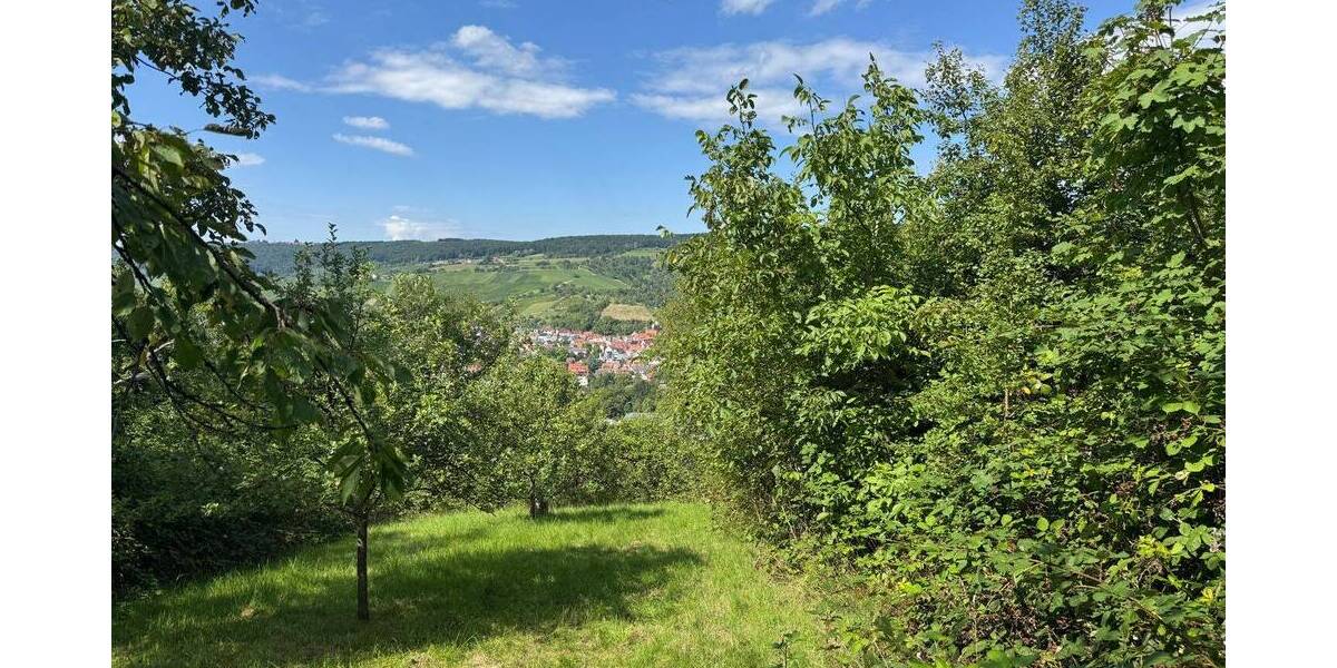 Grundstück Remshalden Geradstetten - 9.000&euro; | Angebot:21837993