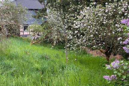 Grundstück Georgenthal - 27.500&euro; | Angebot:26459216