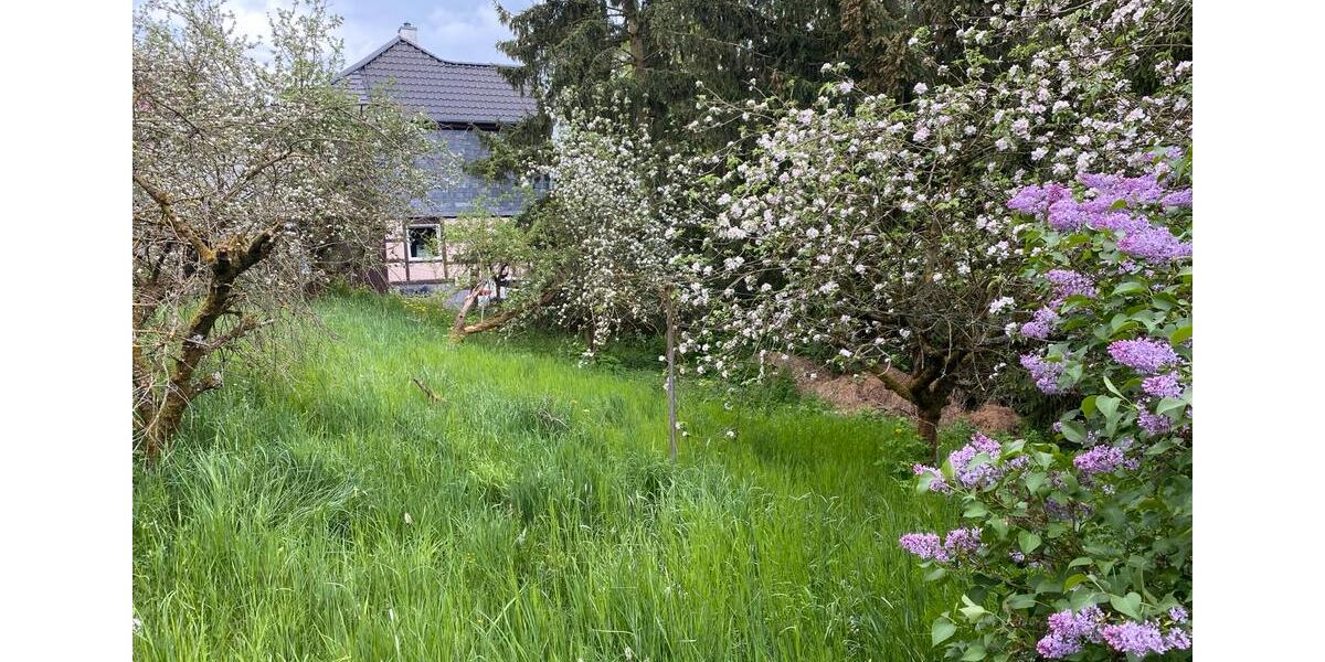 Grundstück Georgenthal - 27.500&euro; | Angebot:26459216