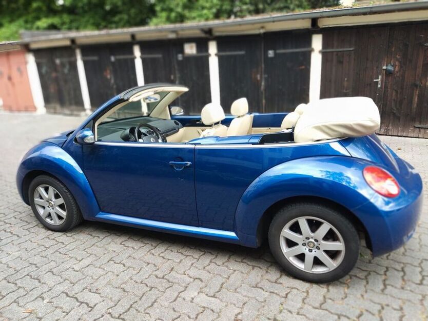 Beetle