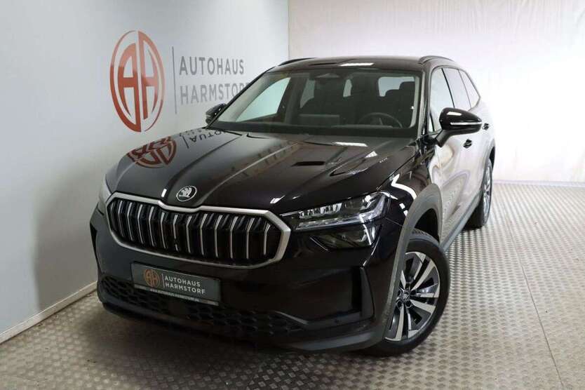 Skoda Kodiaq 1.150 km 39.990 € Harmstorf 21228