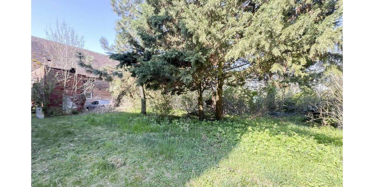 Grundstück Wittenberg Pratau - 20.000&euro; | Angebot:26658206