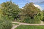 Fußnähe zum RKZ Farmsen - Modernsierte EckWohnung mit Balkon - Gäste-WC - Am Wanderweg Berner Au