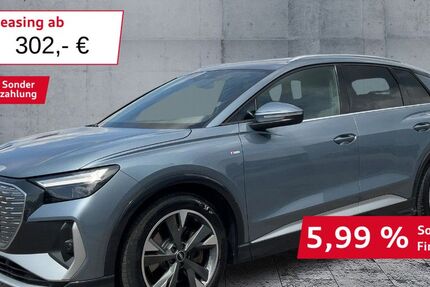 Audi Q4 e-tron 96.804 km 28.950 &euro; Hof 95030