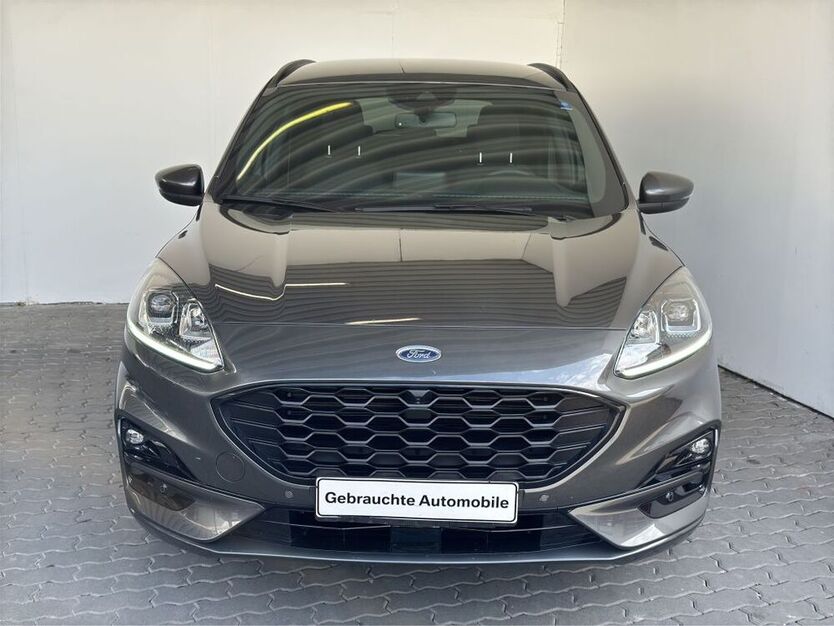 Kuga