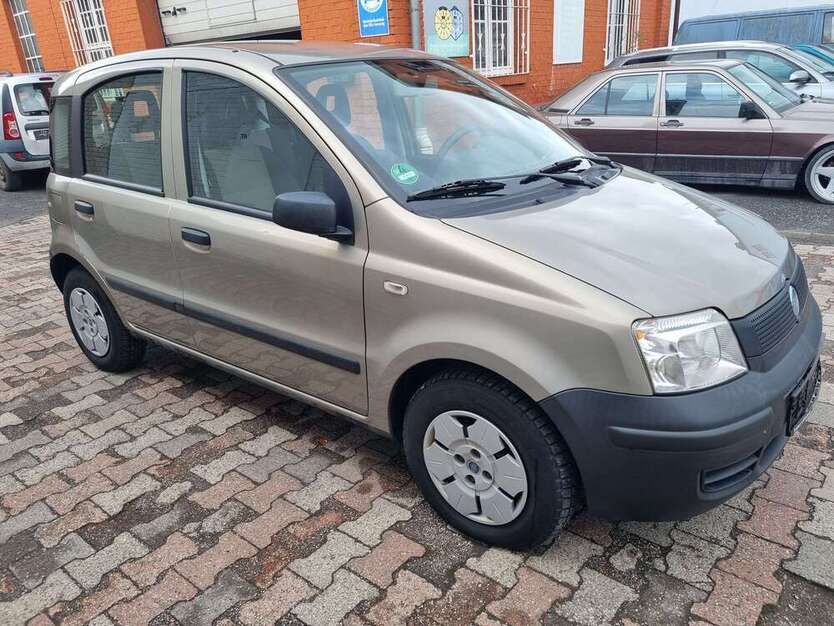 Panda
