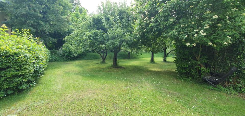 Etagenwohnung Burglengenfeld - 4 Zimmer, 105 m&sup2;, 850&euro; | Angebot:25516863