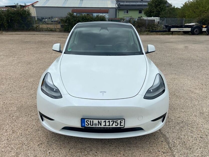 Model Y