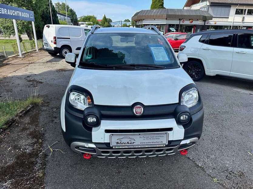 Panda