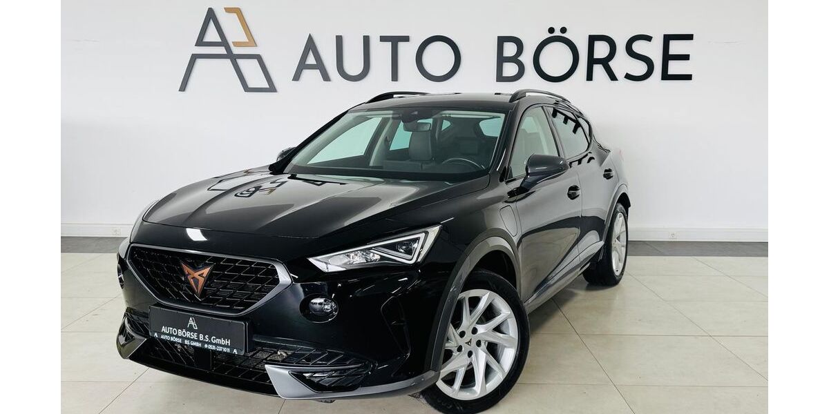 Cupra Formentor 110.580 km 19.890 &euro; Braunschweig 38114