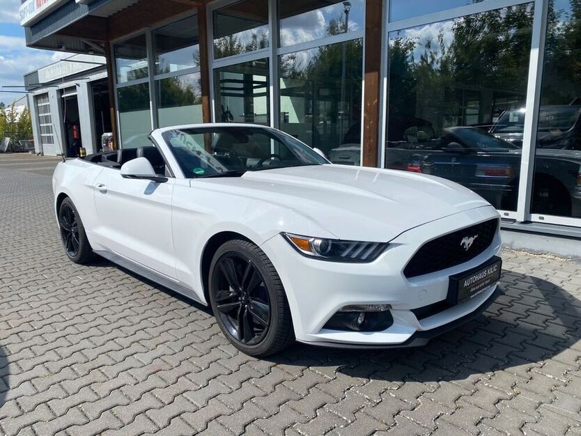Mustang