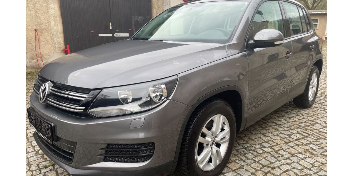 VW Tiguan 129.700 km 8.800 &euro; Reinsberg 09629