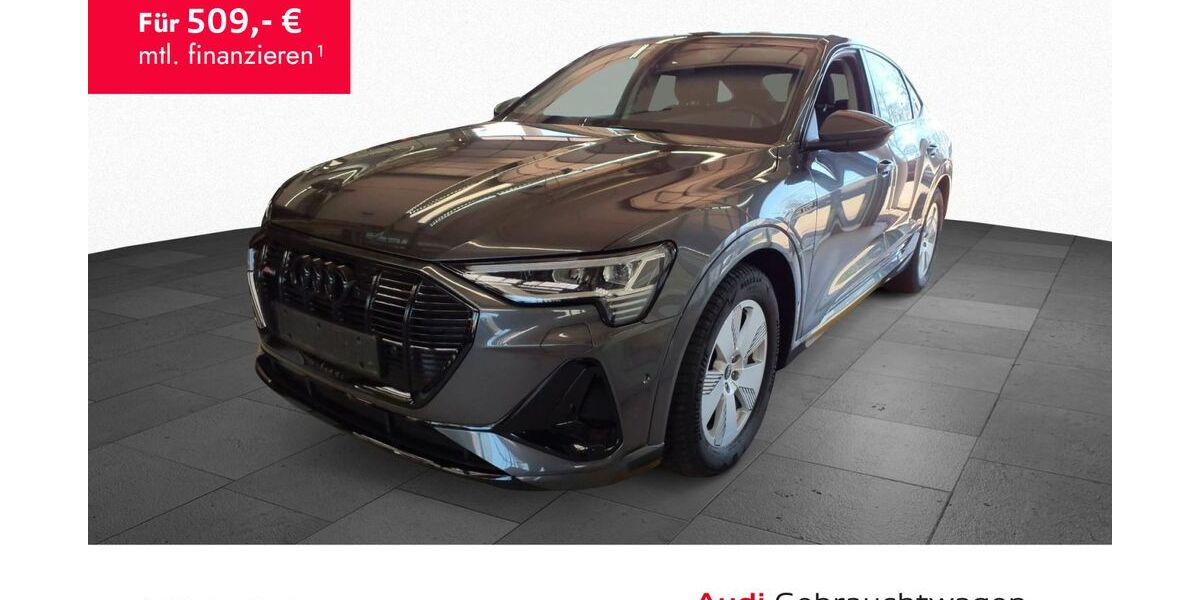 Audi e-tron 54.890 km 39.990 &euro; Kassel 34125