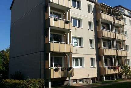 Wohnung zum Mieten in Anklam 293,47 € 45.15 m² 2 zimmer