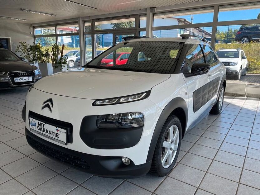 C4 Cactus