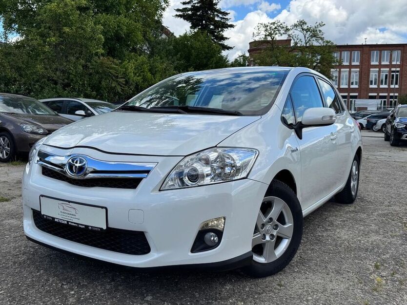 Auris