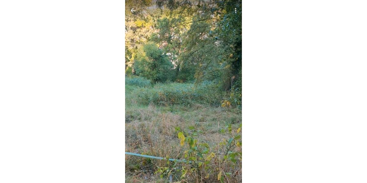 Grundstück Stadtroda - 10.000&euro; | Angebot:26089427