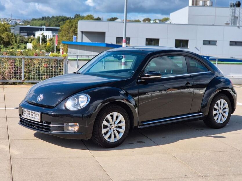 Beetle