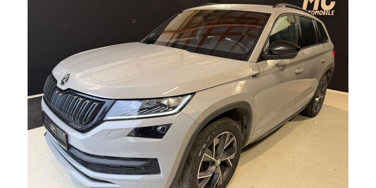 Skoda Kodiaq 187.000 km 23.681 &euro; Heidelberg 69123
