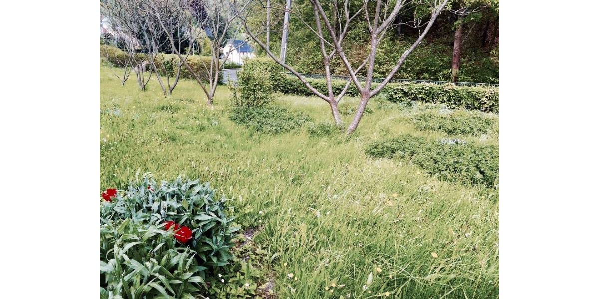 Grundstück Tharandt - 89.000&euro; | Angebot:23976084