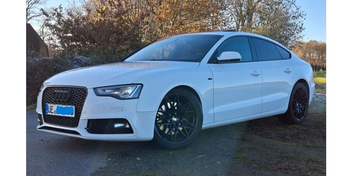 Audi A5 159.500 km 20.999 &euro; Uelzen 29525