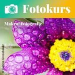 Fotokurs Makrofotografie