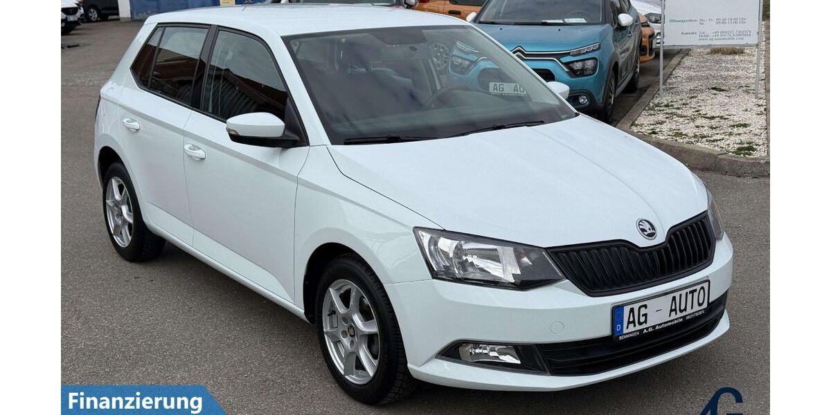 Skoda Fabia 16.966 km 12.300 &euro; Benningen 87734