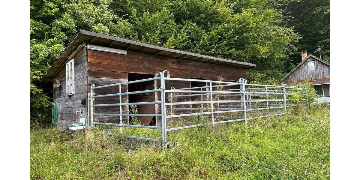 Traumgrundstück mit kleinem Wohn- und Wochenendhaus zimmer