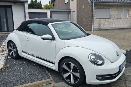 VW Beetle