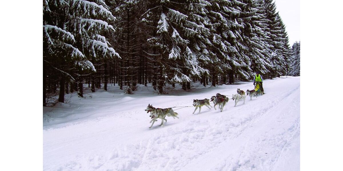 Provisionsfrei* Kleines Hotel im Thüringer Wald sucht neuen Eigentümer - Gewerbeobjekt Suhl Schmiedefeld am Rennsteig | Angebot:25642404