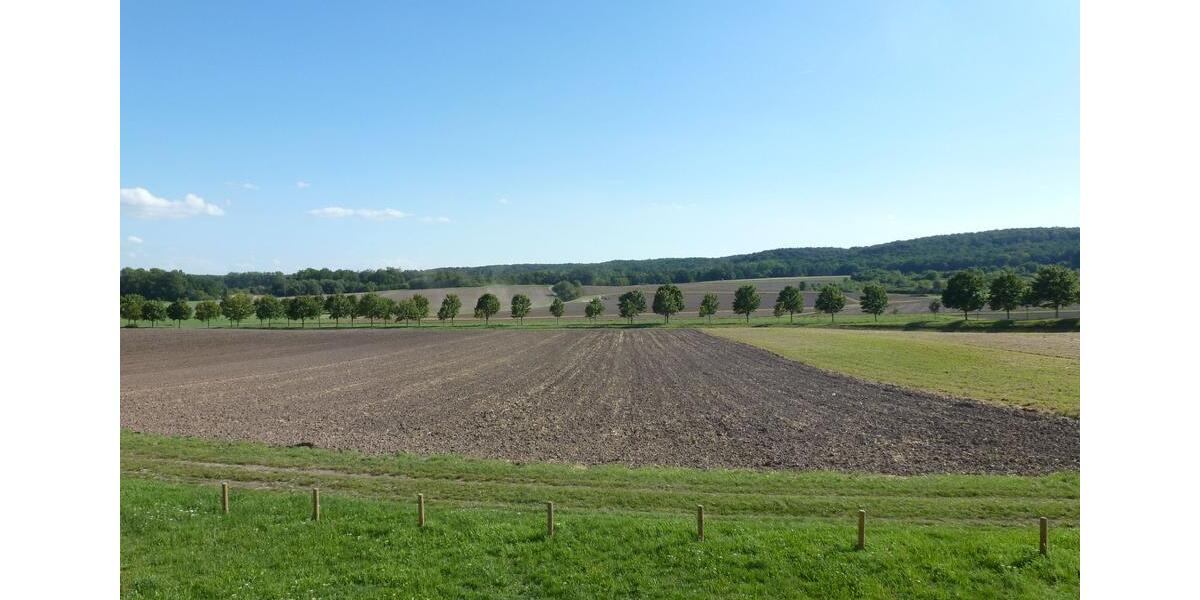 Etagenwohnung Bad Rodach - 2 Zimmer, 57 m&sup2;, 530&euro; | Angebot:25942065