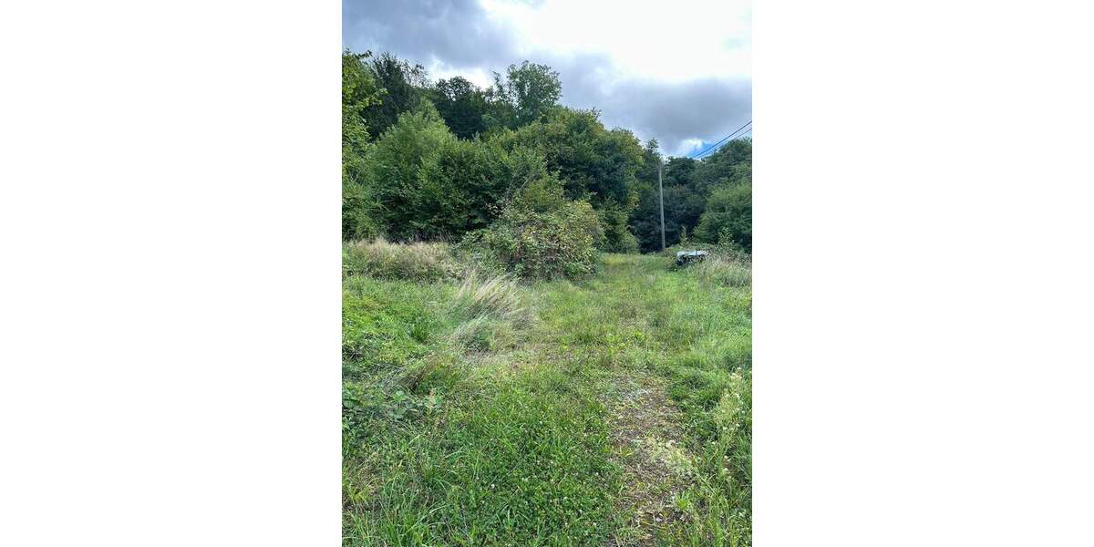 Traumgrundstück zimmer