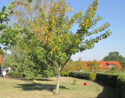 Grundstück Goslar Weddingen - 6.900&euro; | Angebot:21338822