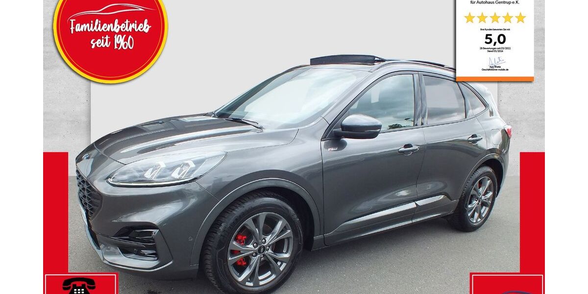 Ford Kuga 29.000 km 25.950 &euro; Langenberg 33449