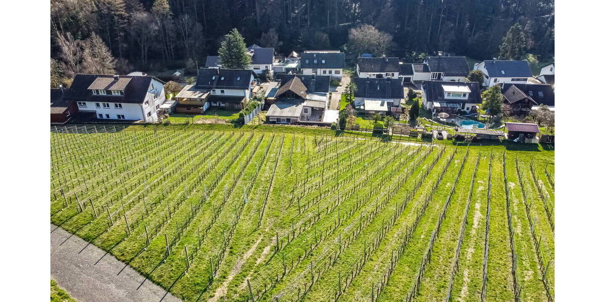 Mehrfamilienhaus, Wohnhaus Renchen / Reiersbach Ulm - 7 Zimmer, 195 m&sup2;, 545.000&euro; | Angebot:26205397