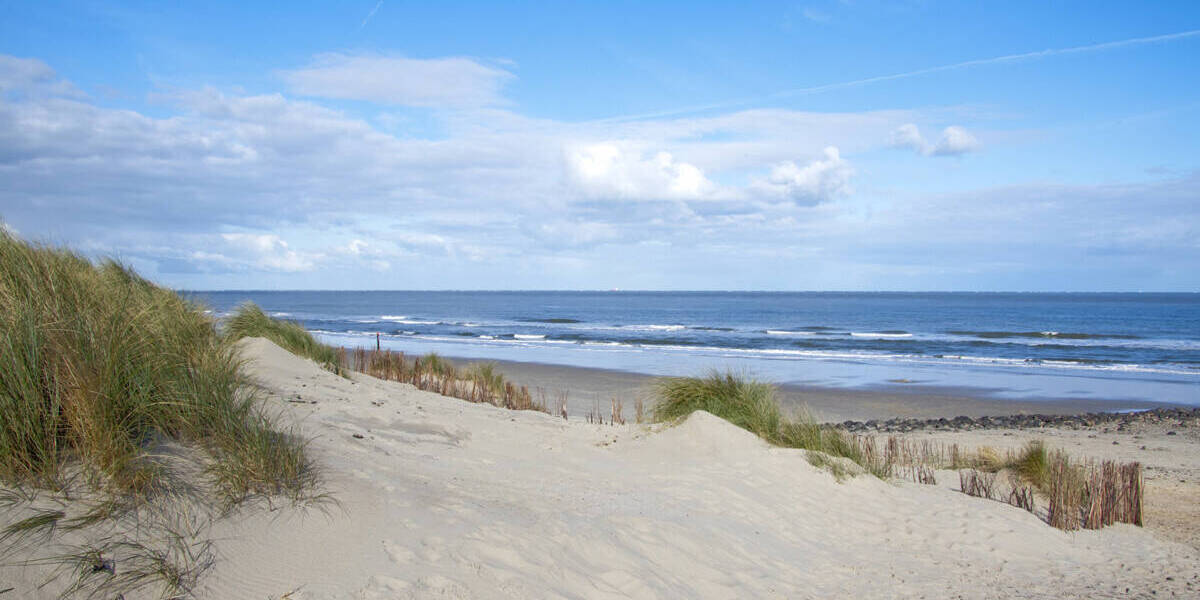 Ostseenah - Energieeffiziente Familienheim in landschaftlich reizvoller Lage zu verkaufen 5 zimmer