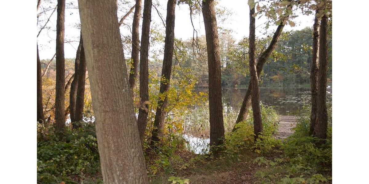 Bungalow Wittstock/Dosse Dosse - 1 Zimmer, 35 m&sup2;, 219.000&euro; | Angebot:26934841