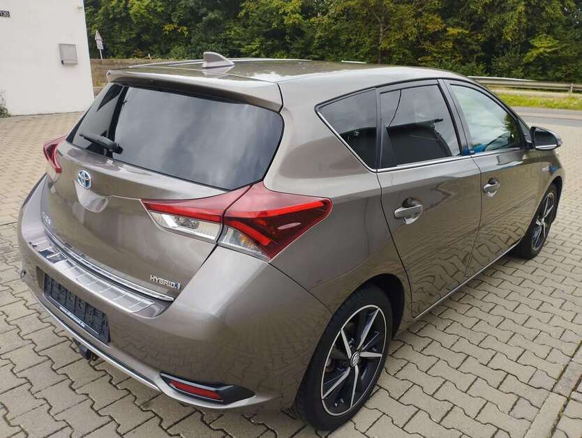 Auris