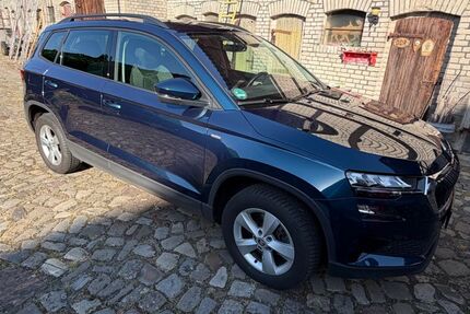 Skoda Karoq 53.500 km 24.850 &euro; Wegenstedt 39359